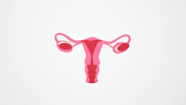 graphic art of a woman s ovary