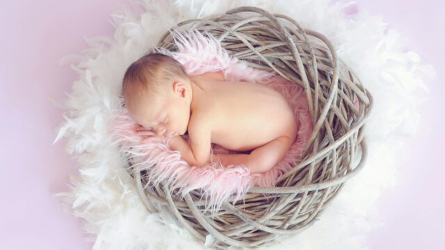 baby sleeping in a basket and a round feather surrounding the basket